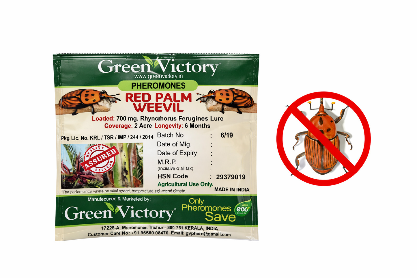 Red Palm Weevil Pheromone Lure – Palm Tree Trap Attractant (700 mg)