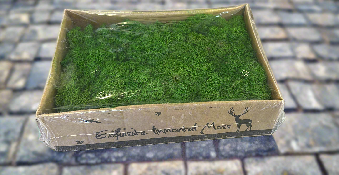 https://plantnpot.com › products › preserved-moss-green-dark-color-250g