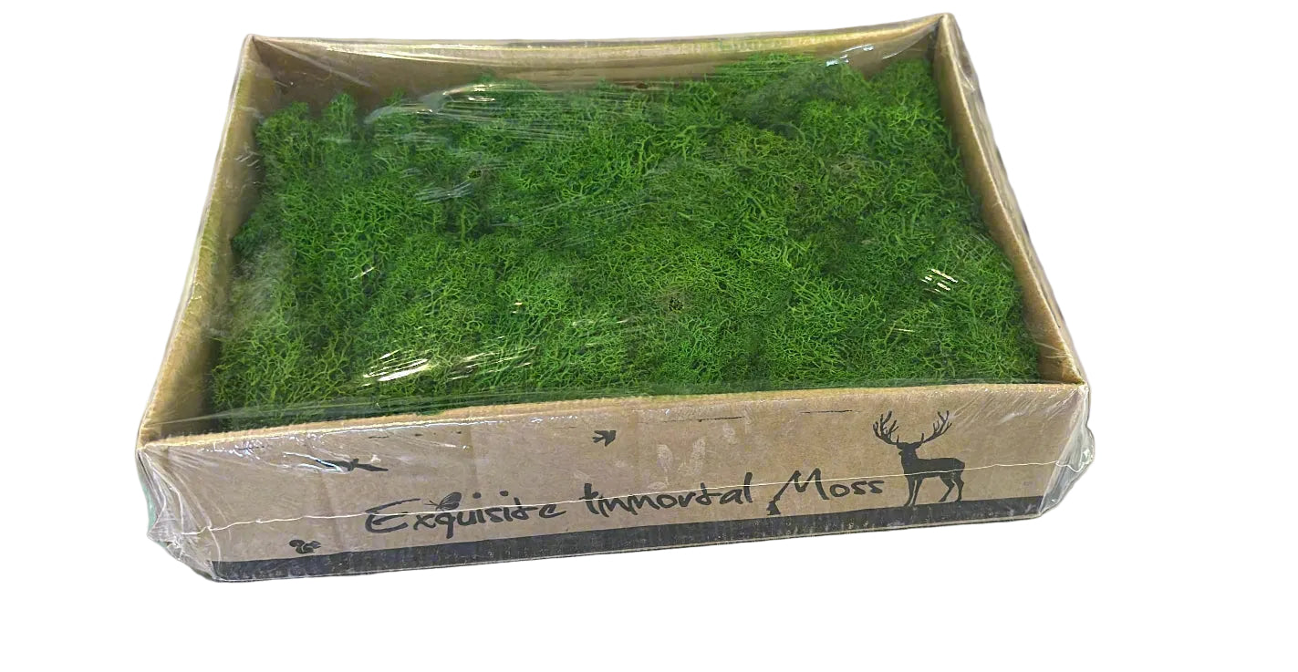 https://plantnpot.com › products › preserved-moss-green-dark-color-250g