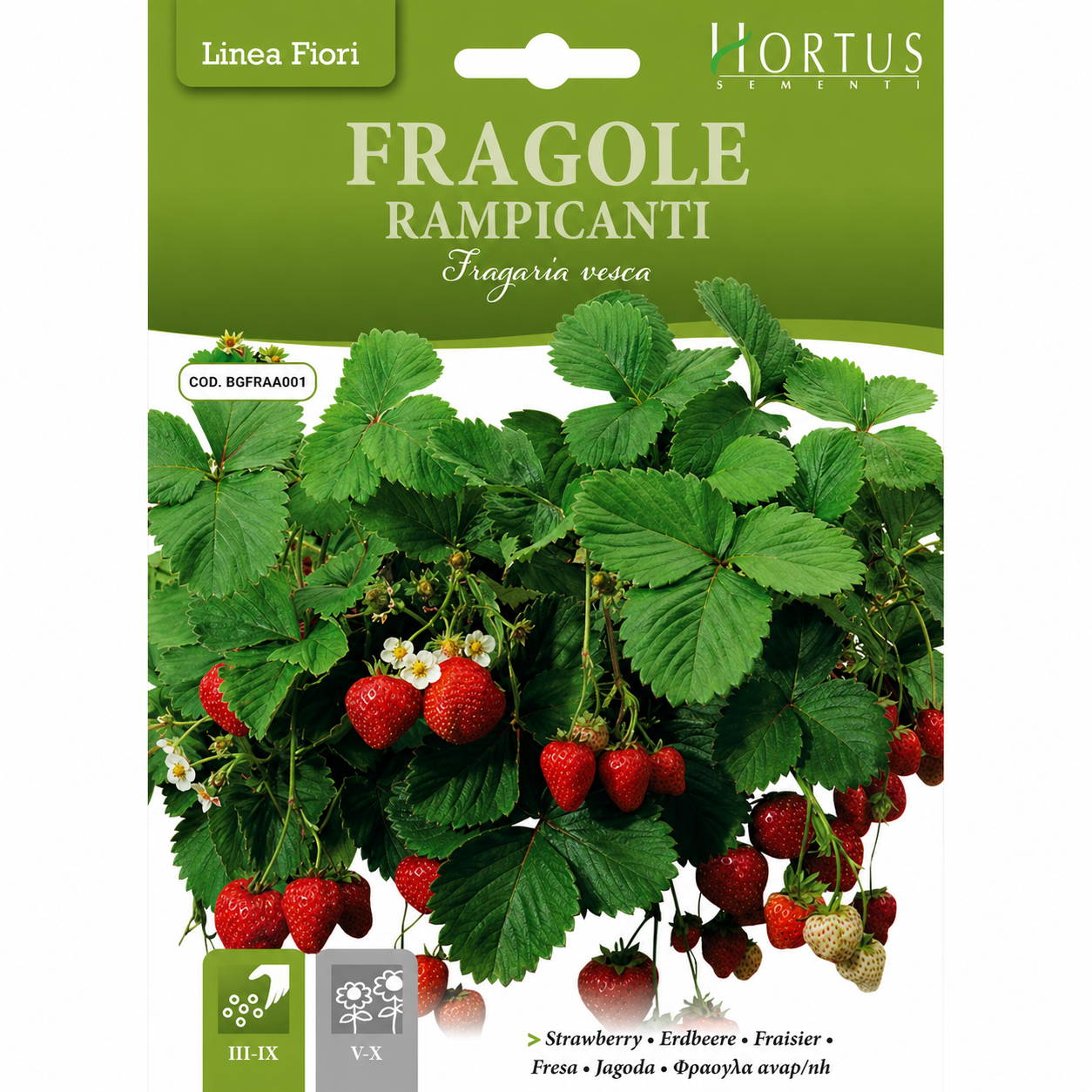 Strawberry "Fragole Rampicanti" Seeds | بذور الفراولة "فراغولي رامبيكانتي"