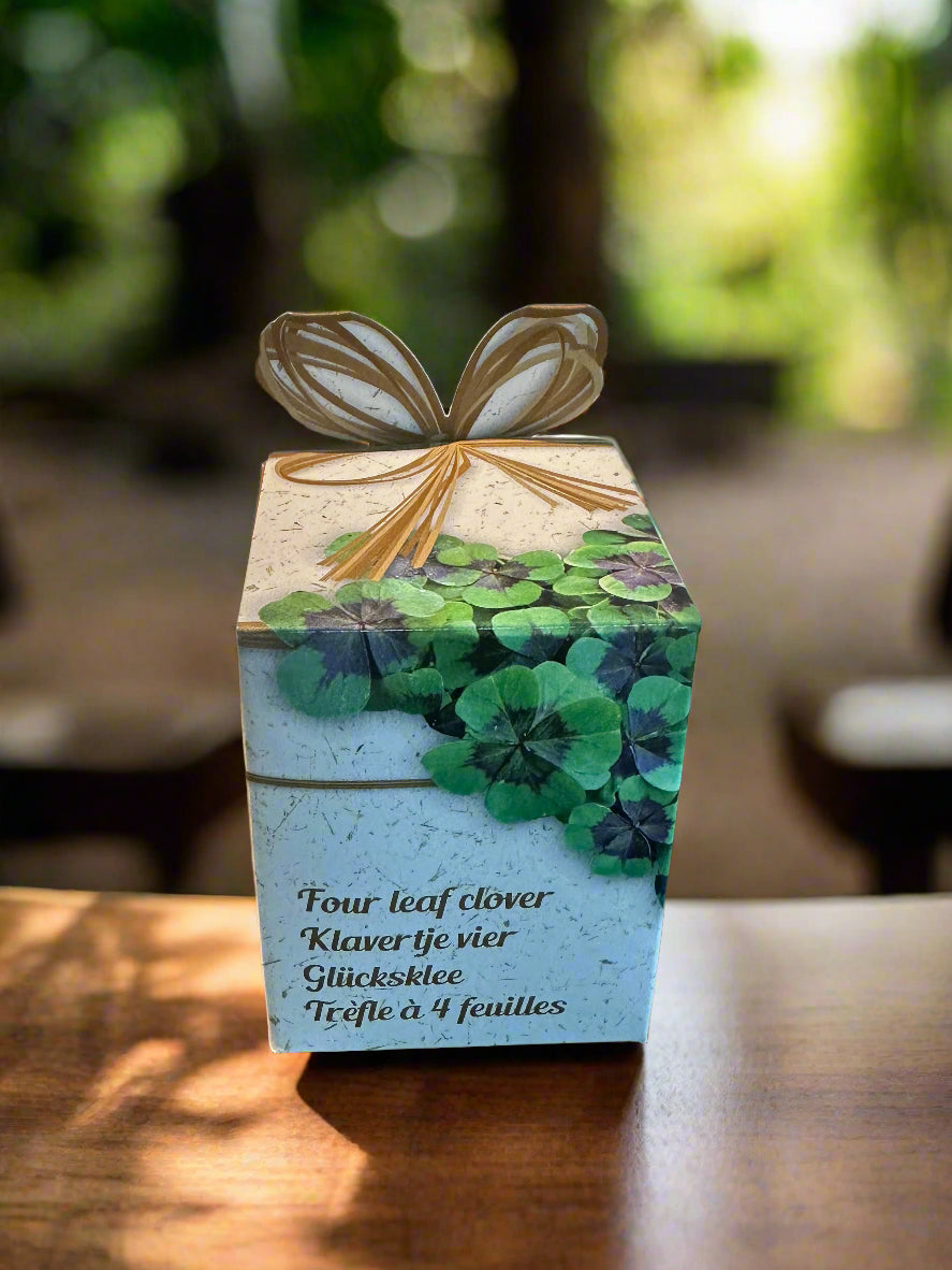 Flower Growing Seeds Kit - مجموعة بذور زراعة الزهور