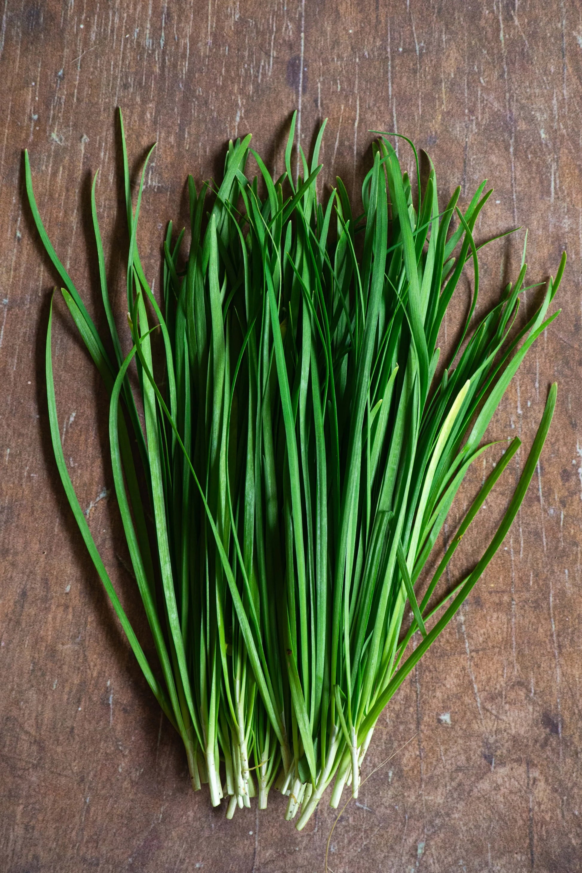 Chive Seeds - بذو...
