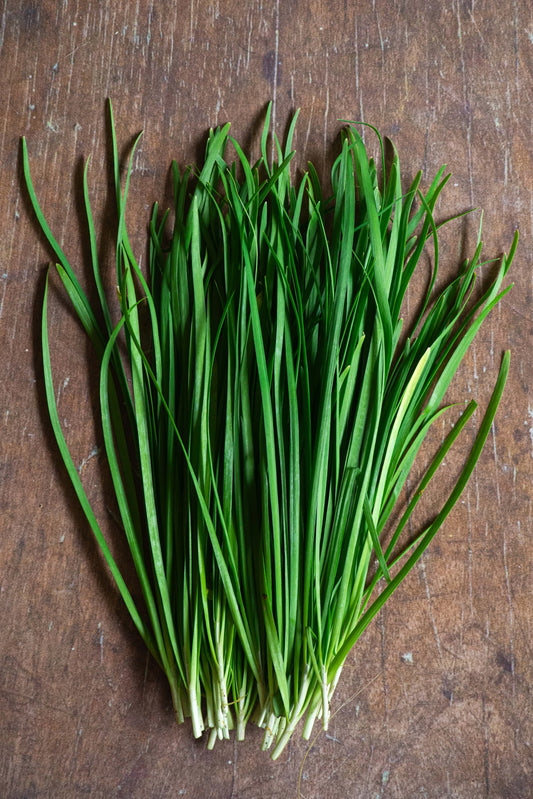 https://plantnpot.com › products › chive-seeds-بذور-الثوم-المعمر