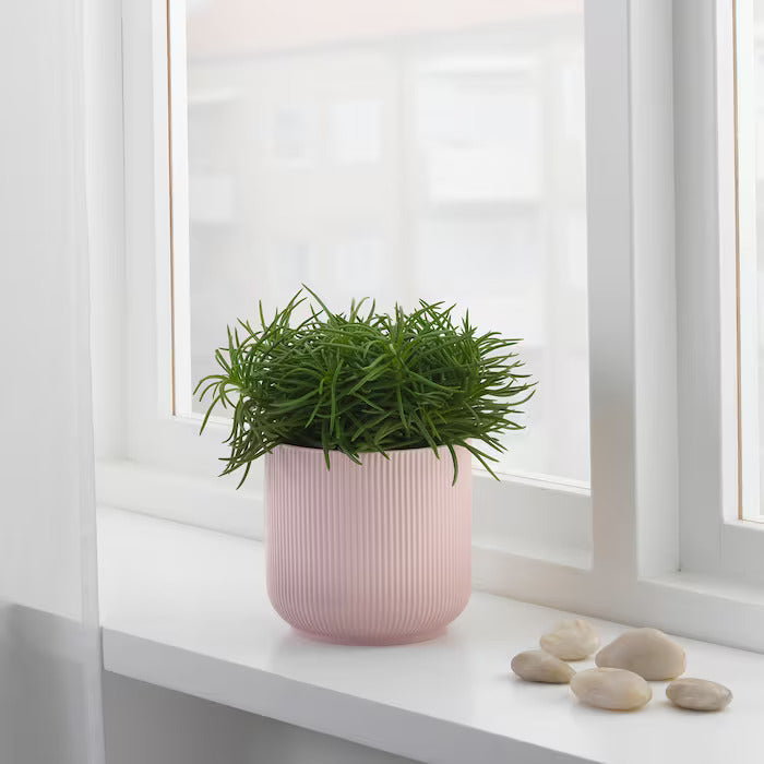 Baby Pink Ceramic Pot - Planter