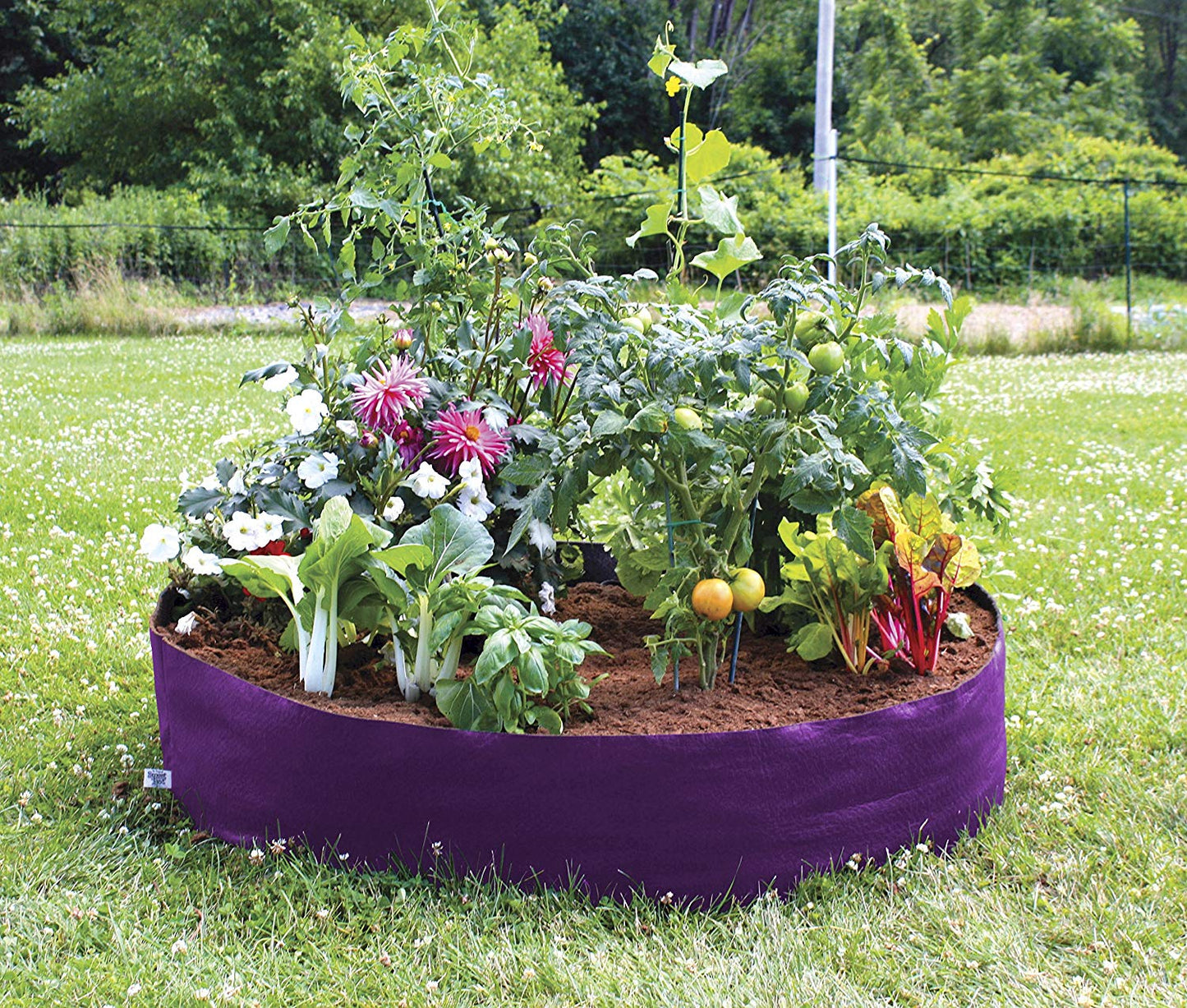 Raised Bed – Mini (Purple) - Smart Pot