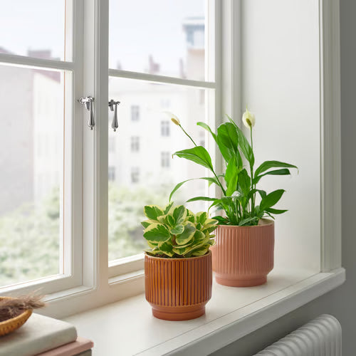 Ribbed Ceramic Pot | أصيص سيراميك مضلع