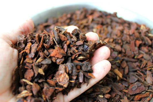 Orchid Bark Planting Soil 10L