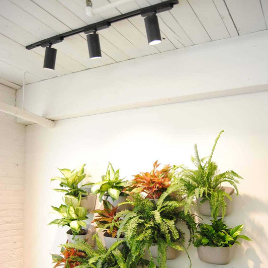 Led Track Plant Light - Grow light