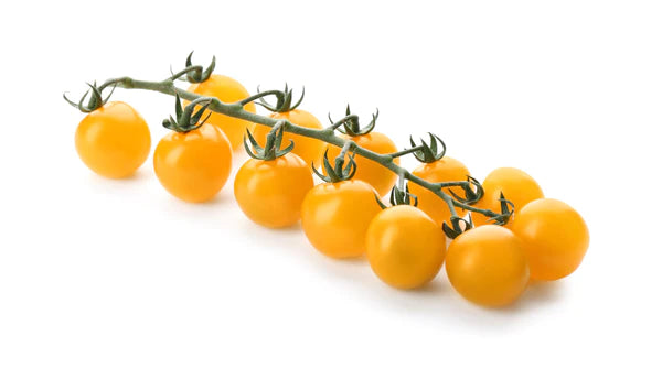 Cherry Tomato Yellow Seeds - Organic Garden Seeds - بذور طماطم شيري
