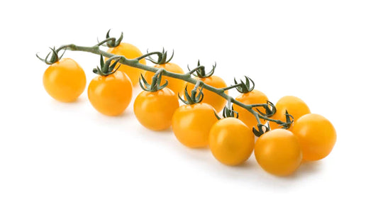 Cherry Tomato Yellow Seeds - Organic Garden Seeds - بذور طماطم شيري