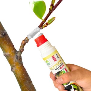 https://plantnpot.com › products › mastice-cicatrizzante-cicatrin-plus