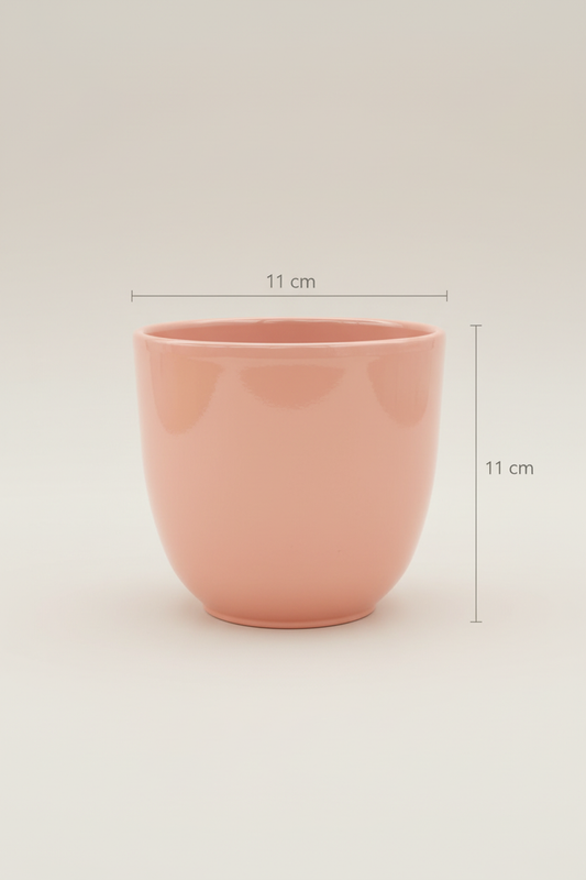 Corrected peach-pink planter lifestyle portrait