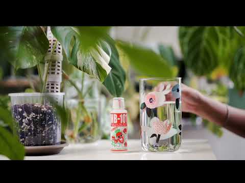 HB-101 Plant Organic Vitalizer - منشّط نباتات عضوي