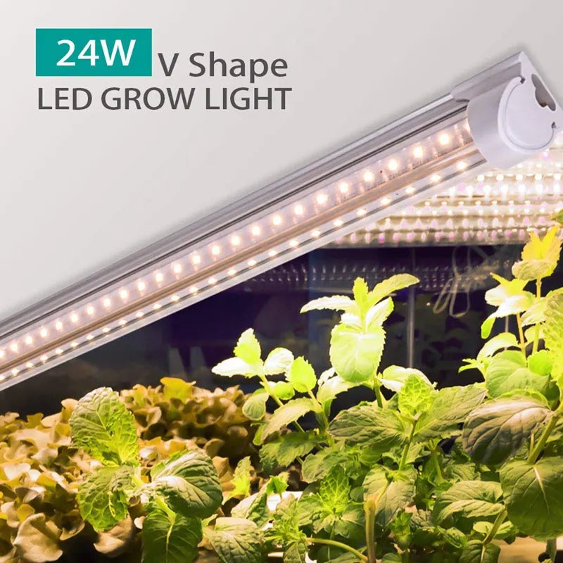 led grow light