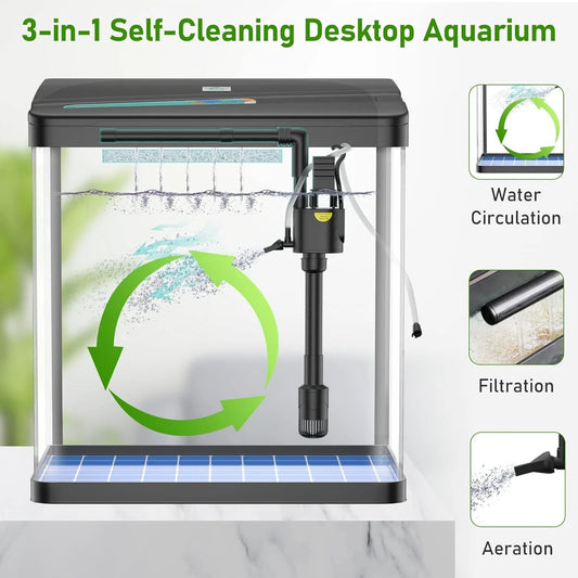 Aquarium 31L - حوض أسماك