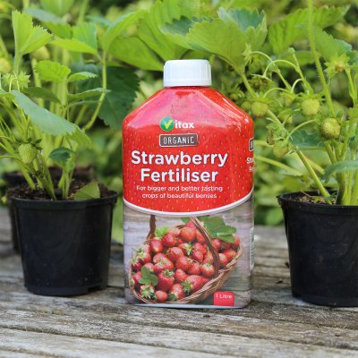 Organic Liquid Strawberry Fertilizer