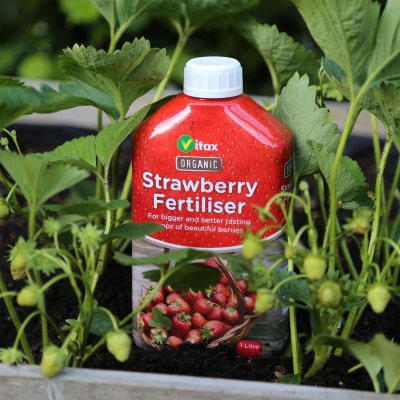 Organic Liquid Strawberry Fertilizer