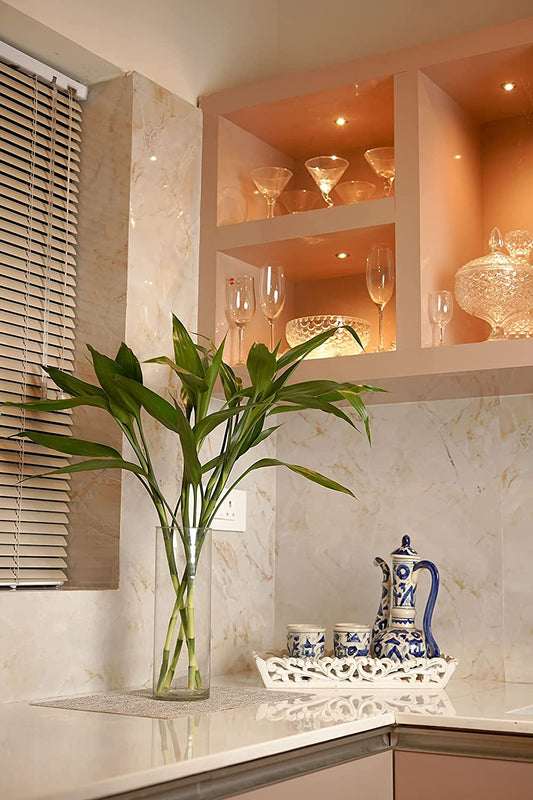 Lucky Bamboo in Glass Vase - نبتة بامبو