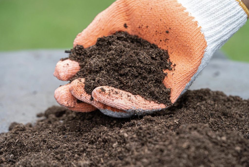 Peat Moss 10L