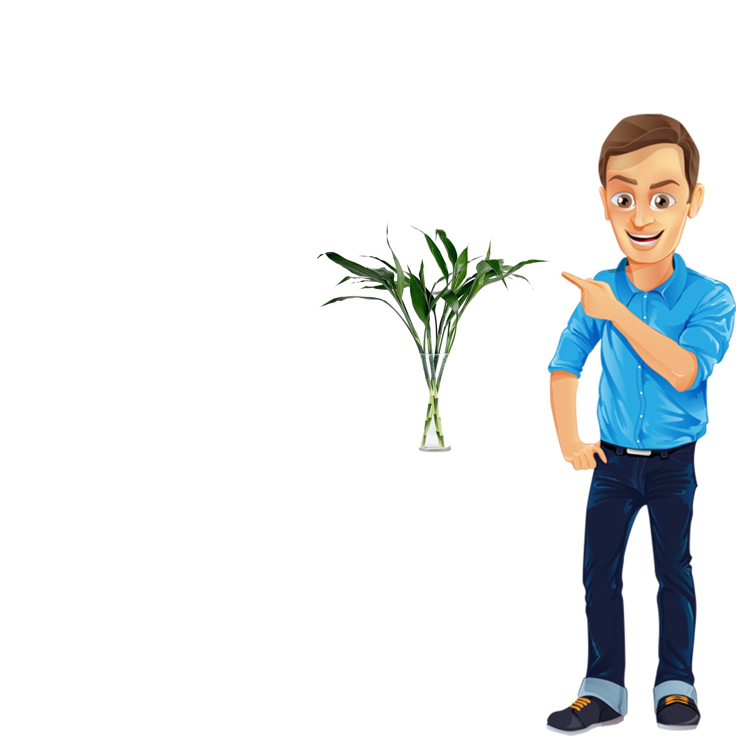 Lucky Bamboo Vase with 5 sticks (بامبو)