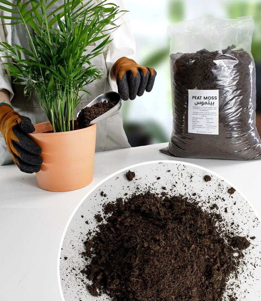 Peat Moss 10L