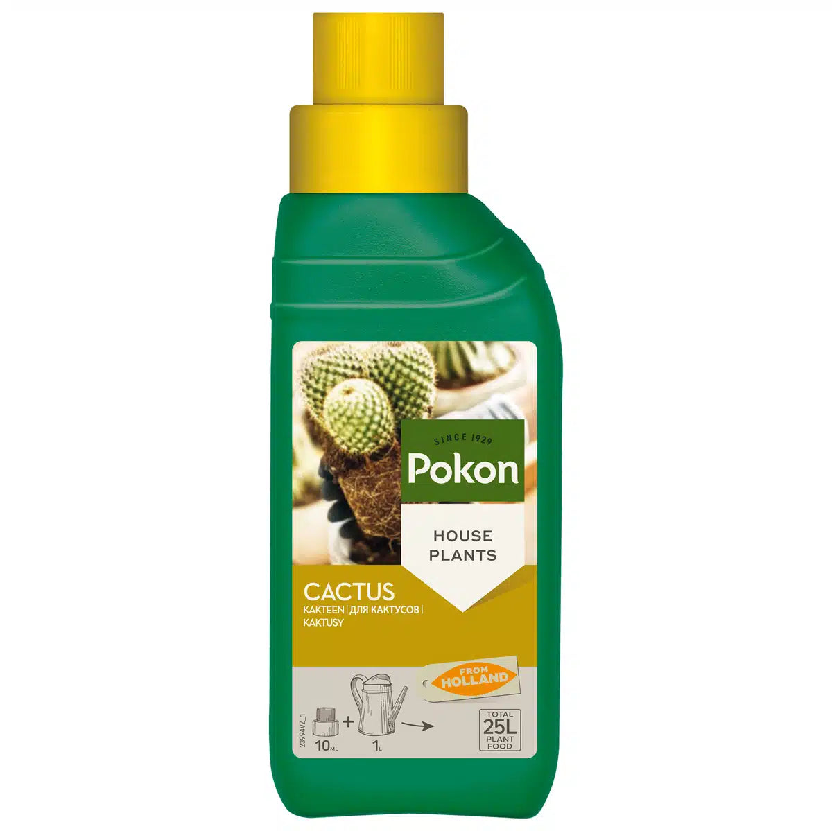 Pokon – Cactus and Succulent Plant Food – 250ml