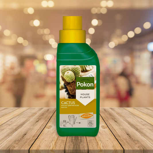 Pokon – Cactus and Succulent Plant Food – 250ml