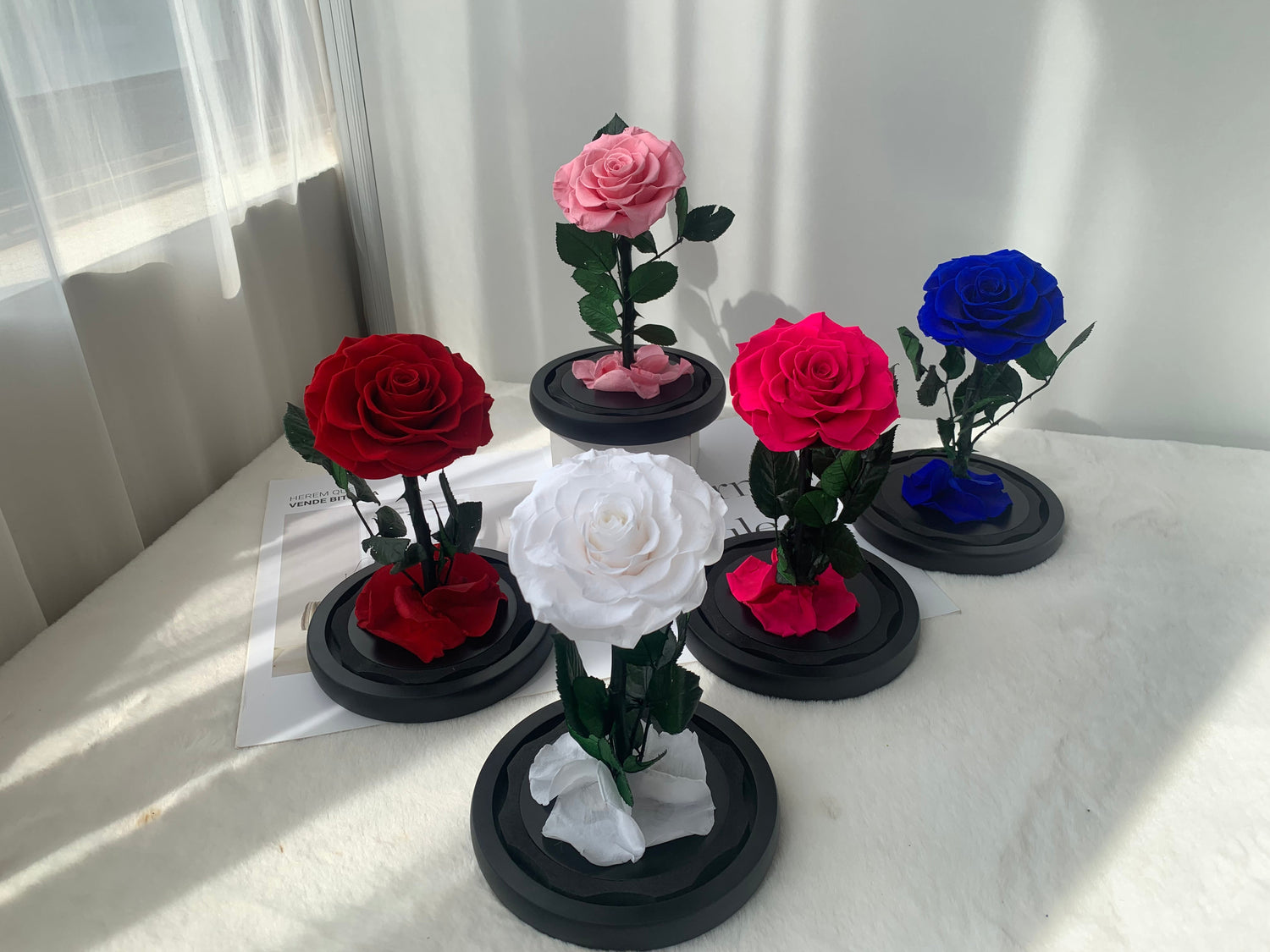 Preserved Flowers