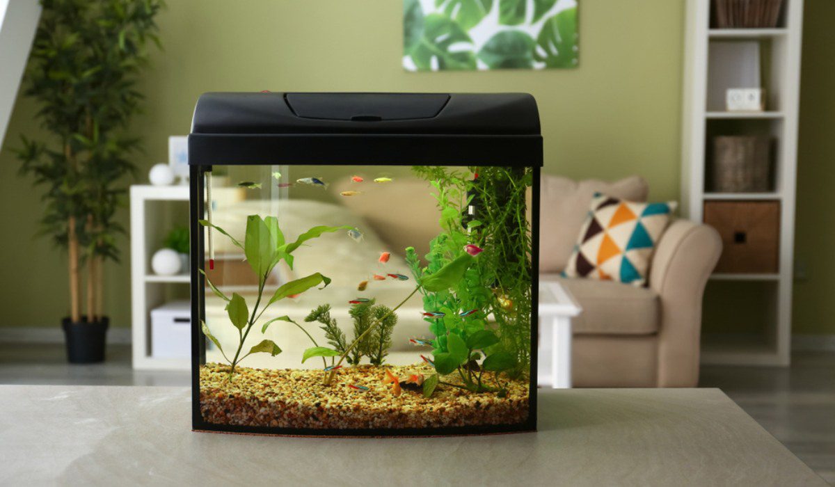 Aquariums