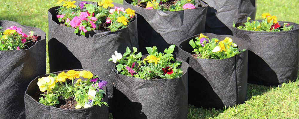 Raised Beds & Fabric Pots