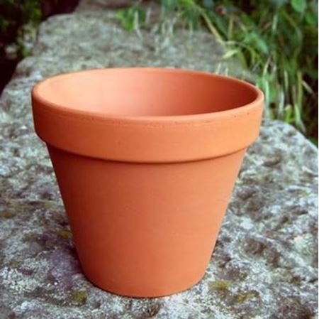 Terracotta Pot Kolibri