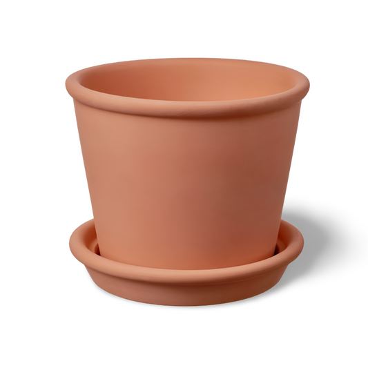 Terracotta Pot - Planter