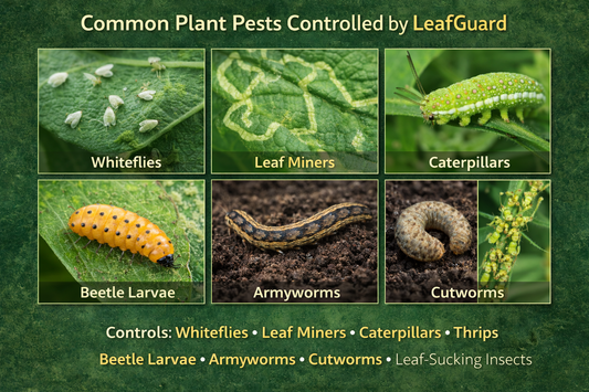 Plant Leaf Guard - Systemic Insecticide for Indoor & Outdoor Plants - 80g