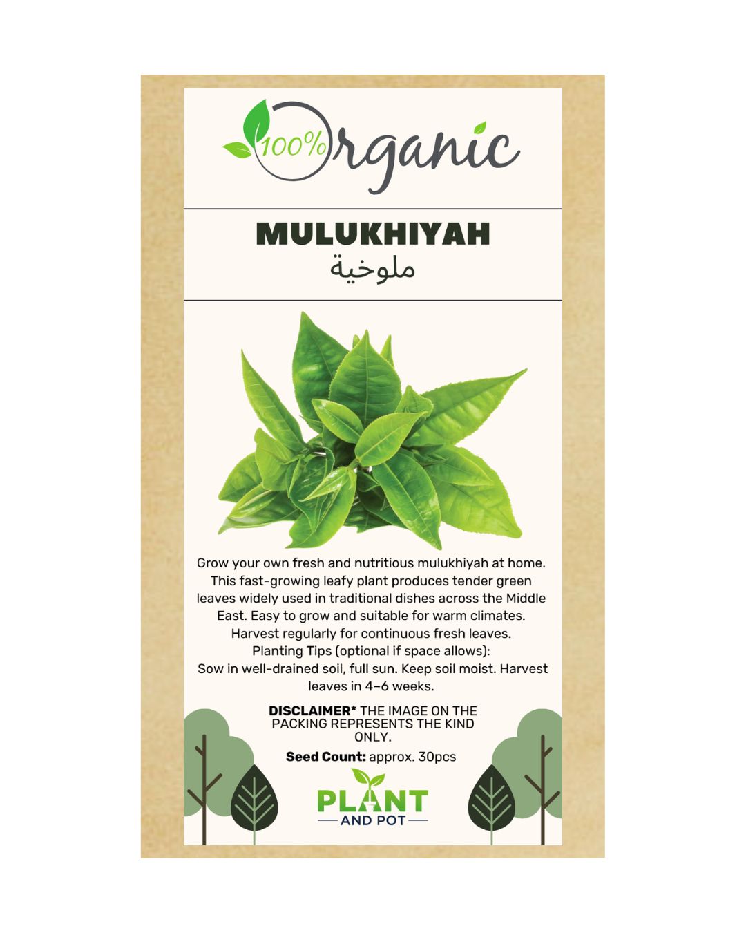 Mulukhiyah Organic Seeds | بذور الملوخية – للزراعة المنزلية