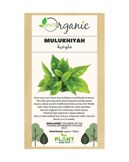 Mulukhiyah Organic Seeds | بذور الملوخية – للزراعة المنزلية