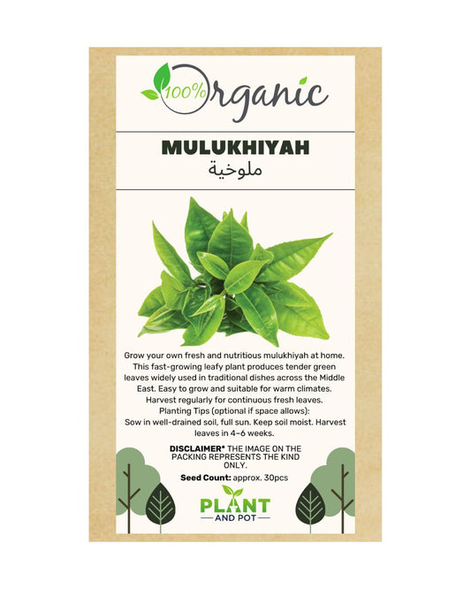 Mulukhiyah Organic Seeds | بذور الملوخية – للزراعة المنزلية