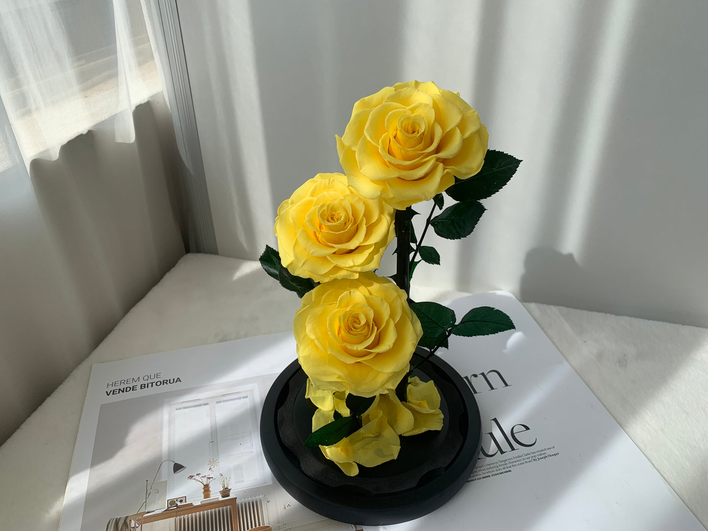 Layered Love – Preserved Rose Dome - الوردة الخالدة