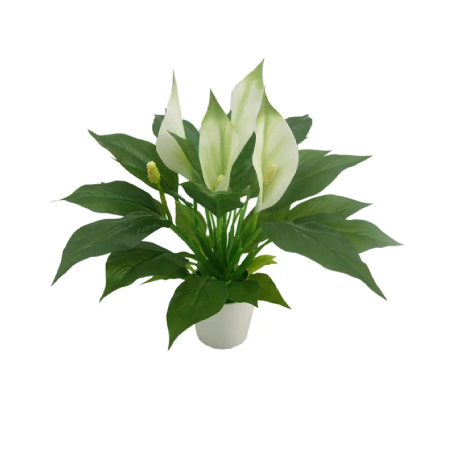 Spathiphyllum Kochii - Artificial Plant