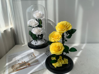 Layered Love – Preserved Rose Dome - الوردة الخالدة