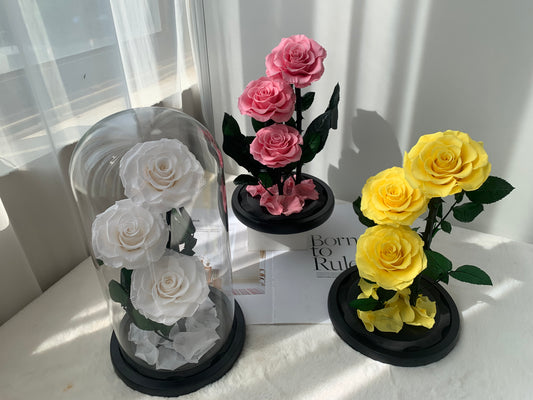 Layered Love – Preserved Rose Dome - الوردة الخالدة