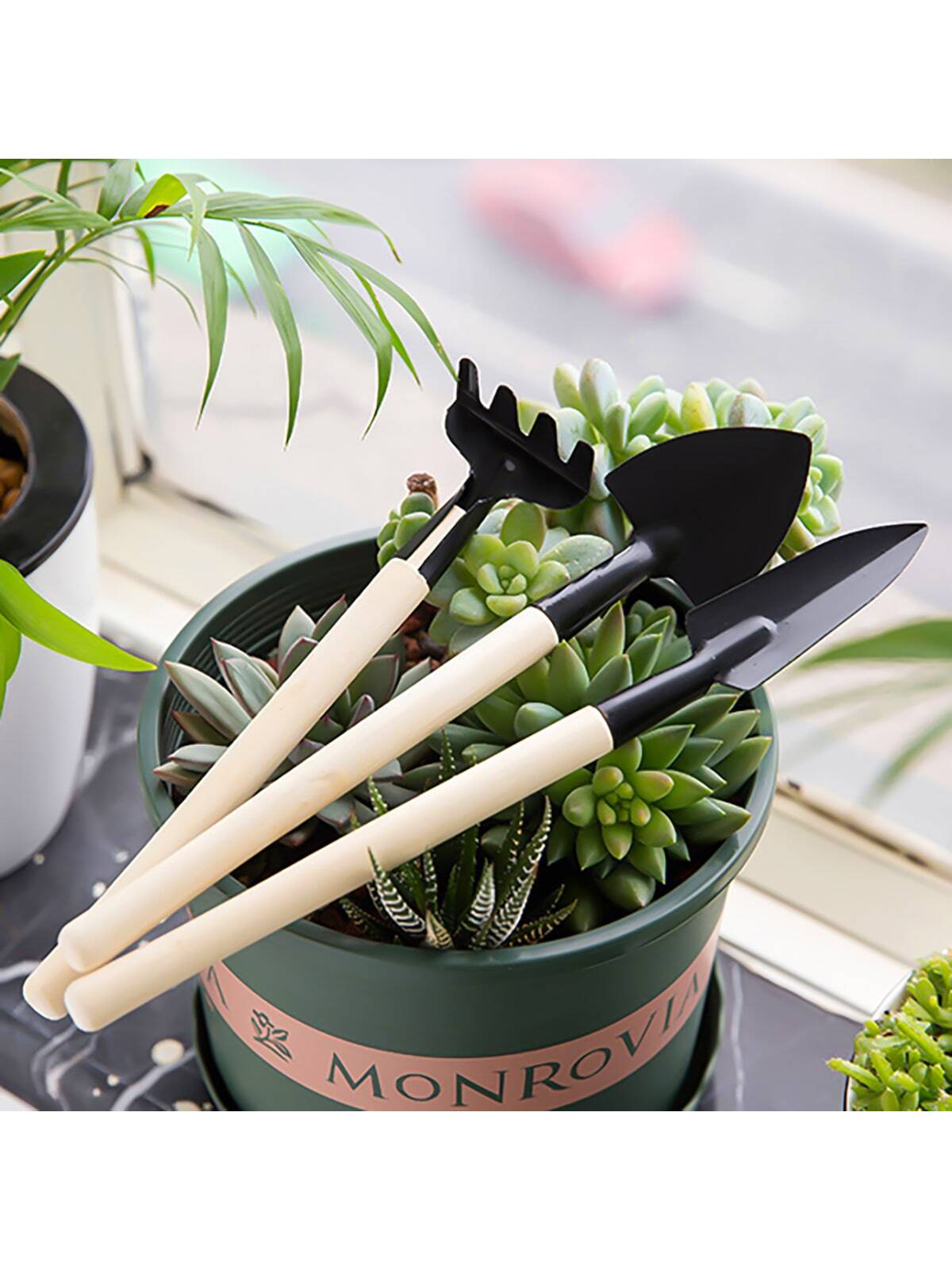 Enhance Your Gardening with Seeding & Propagation Essentials – Plant ...