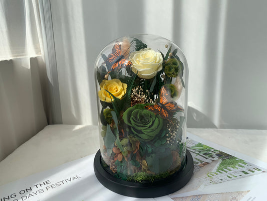 White Rose Mix Garden in a Dome - الوردة الخالدة