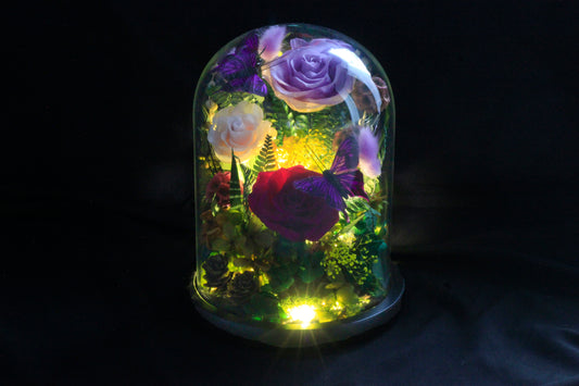 Purple Mix Rose Garden in a Dome - الوردة الخالدة