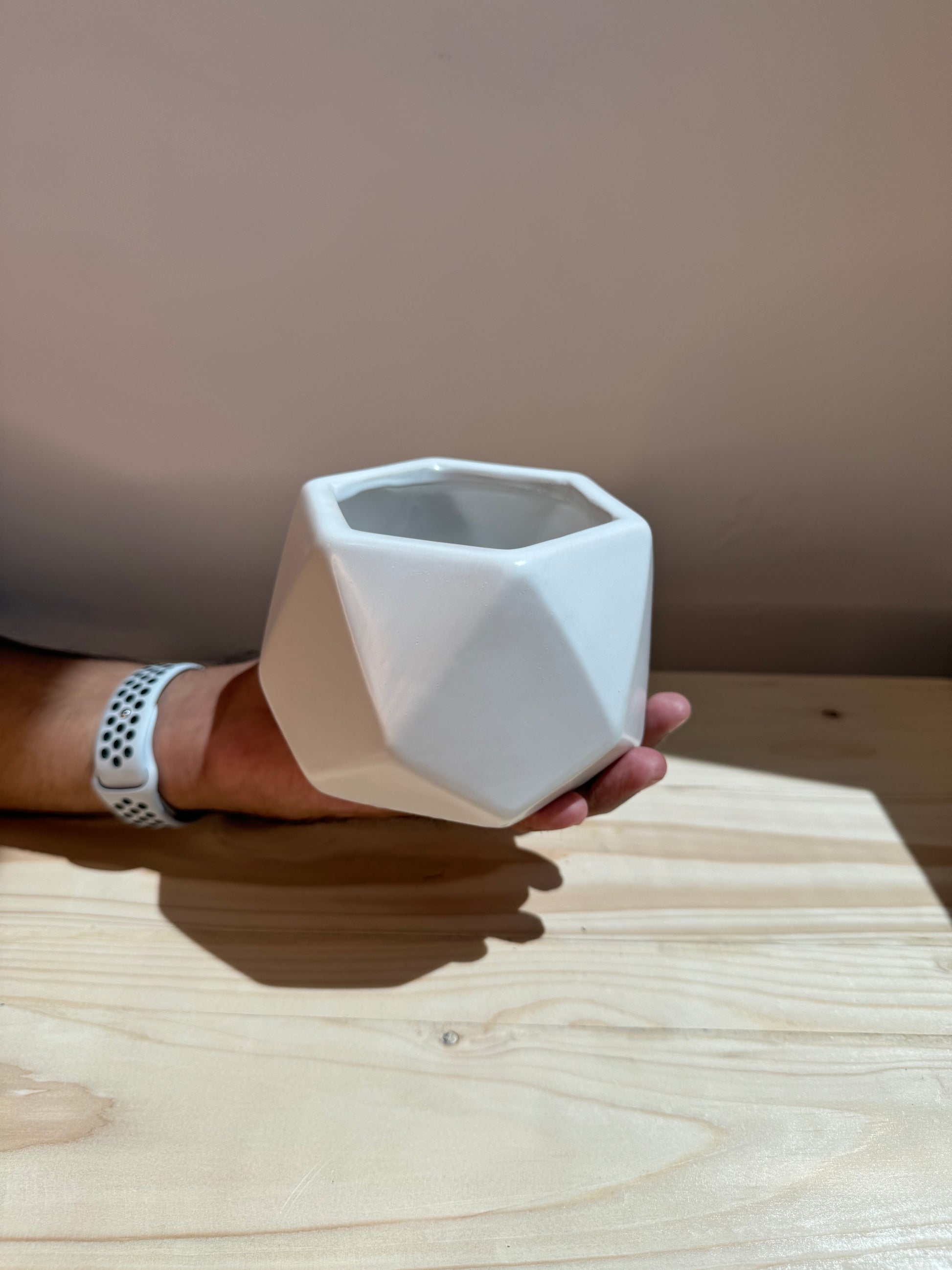 White Hexagon Ceramic Pot - Planter