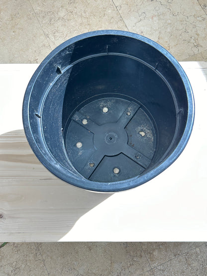 Round Black Plastic Pot - Indoor & Outdoor use