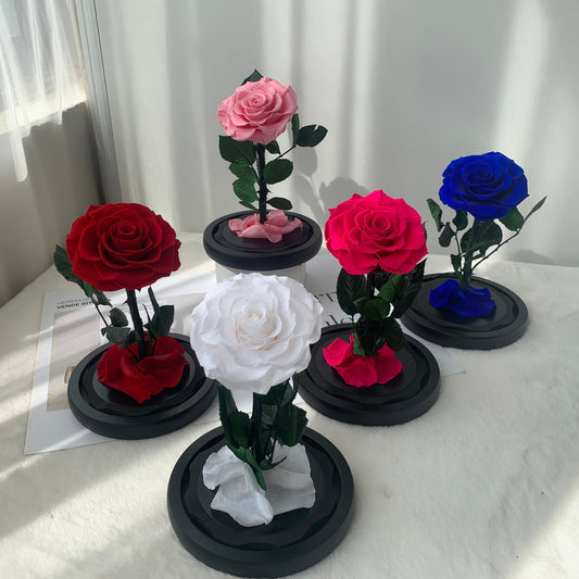 Forever Rose Dome 12cm x 20cm - الوردة الخالدة