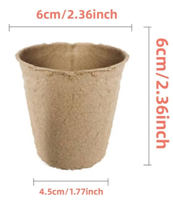 Compostable Planting Pot Paper Pot - Compostable - Pack of 10pcs – Plant and Pot Co.