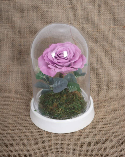 Lilac - Purple Preserved Rose Arrangement - Gift