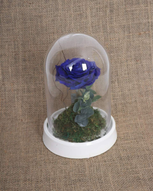 Blue Preserve Rose Arrangement - Gift