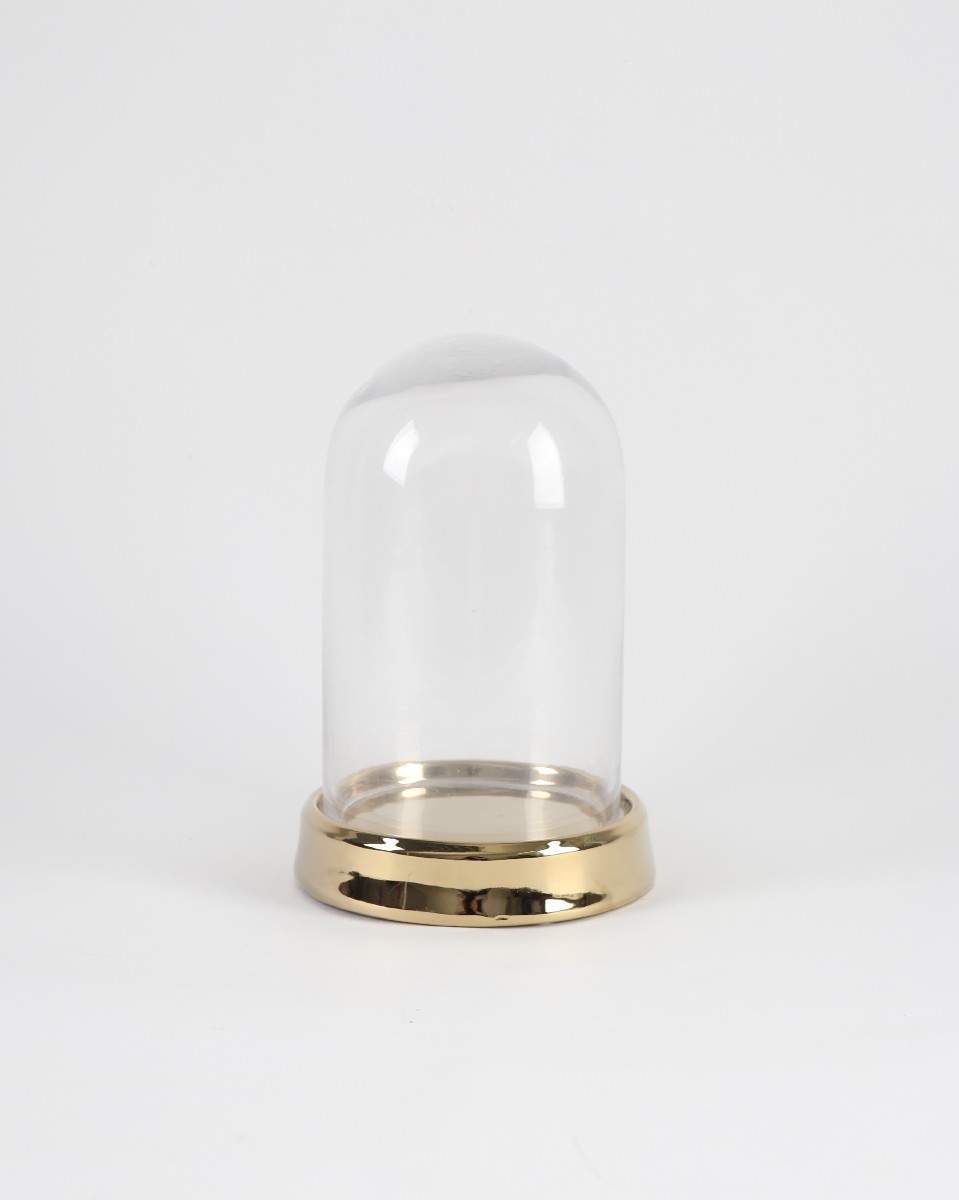 Glass Dome Base Glass Dome With Golden Base – Plant and Pot Co.